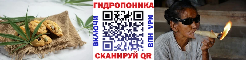 Canna-Cookies марихуана  Купить закладки  Тулун 