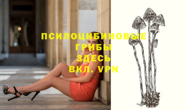 твердый Кодинск