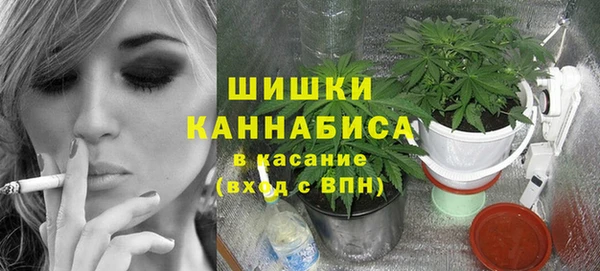 стафф Козельск