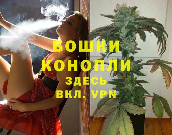 стафф Козельск