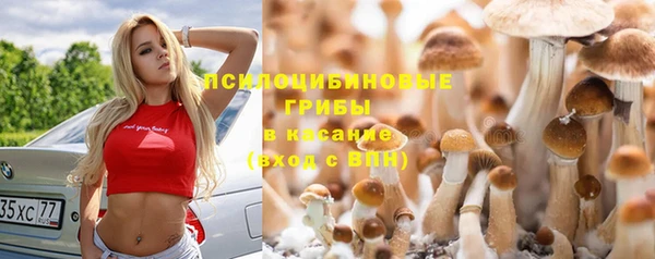 стафф Козельск