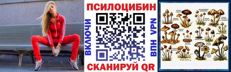 Псилоцибиновые грибы мицелий  Купить  Тулун 